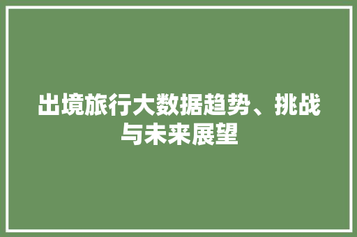 出境旅行大数据趋势、挑战与未来展望