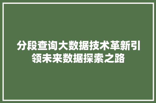 分段查询大数据技术革新引领未来数据探索之路 编程语言