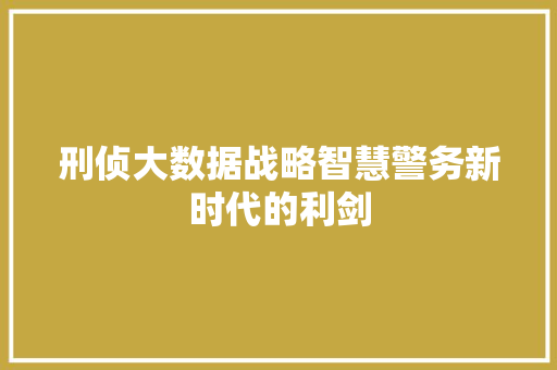 刑侦大数据战略智慧警务新时代的利剑 电脑基础