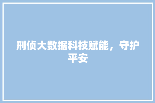 刑侦大数据科技赋能，守护平安 电脑基础