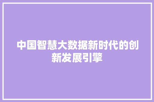 中国智慧大数据新时代的创新发展引擎