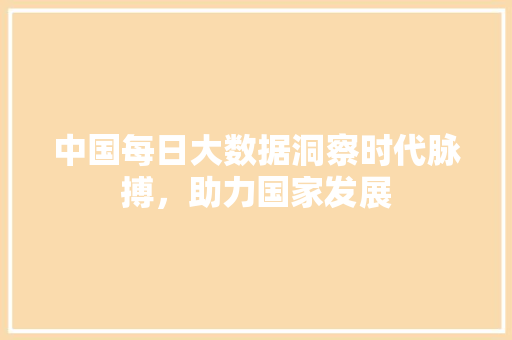 中国每日大数据洞察时代脉搏，助力国家发展 电脑基础