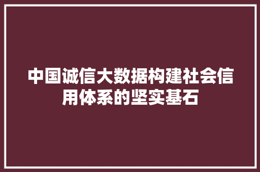中国诚信大数据构建社会信用体系的坚实基石 电脑基础
