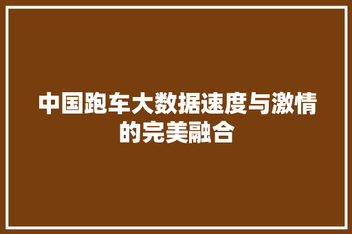 中国跑车大数据速度与激情的完美融合 网络技术 中国跑车大数据速度与激情的完美融合 网络技术
