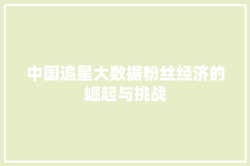 中国追星大数据粉丝经济的崛起与挑战