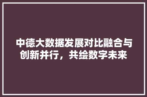 中德大数据发展对比融合与创新并行，共绘数字未来 网络技术