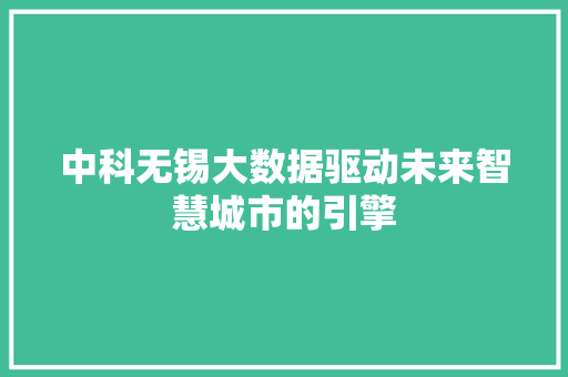 中科无锡大数据驱动未来智慧城市的引擎 编程语言