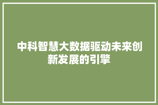 中科智慧大数据驱动未来创新发展的引擎