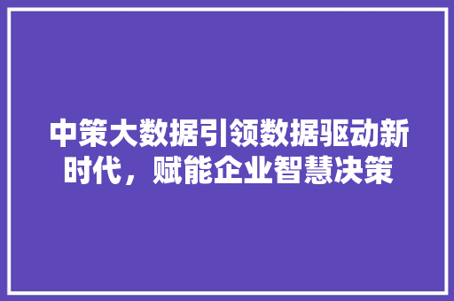 中策大数据引领数据驱动新时代，赋能企业智慧决策 电脑基础