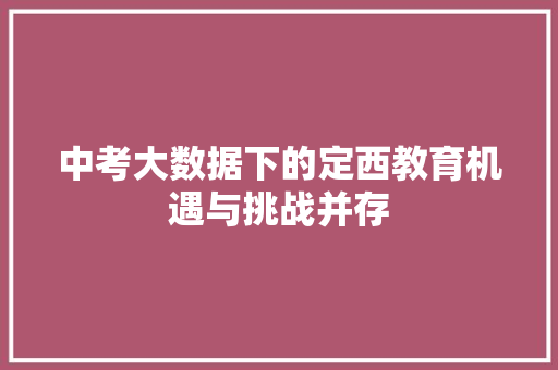 中考大数据下的定西教育机遇与挑战并存 操作系统
