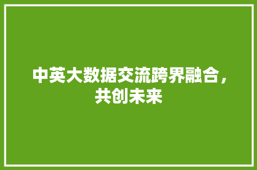 中英大数据交流跨界融合，共创未来