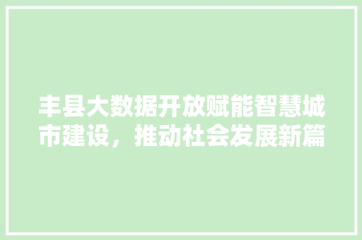 丰县大数据开放赋能智慧城市建设，推动社会发展新篇章
