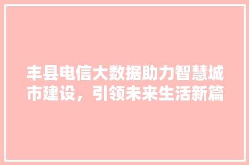 丰县电信大数据助力智慧城市建设，引领未来生活新篇章
