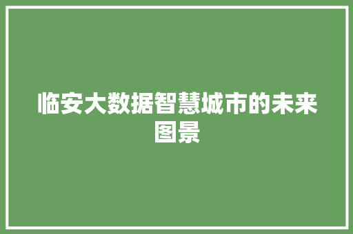 临安大数据智慧城市的未来图景