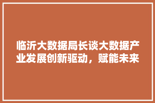 临沂大数据局长谈大数据产业发展创新驱动，赋能未来