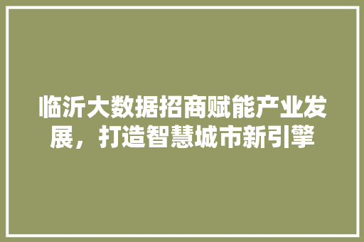 临沂大数据招商赋能产业发展，打造智慧城市新引擎