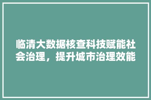 临清大数据核查科技赋能社会治理，提升城市治理效能