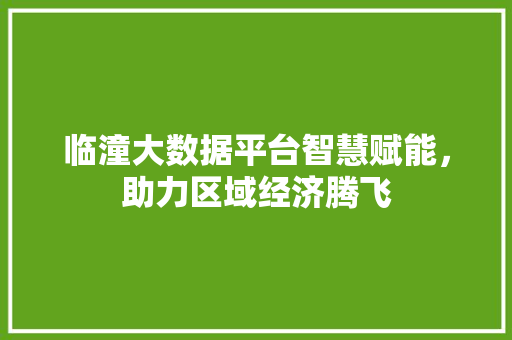 临潼大数据平台智慧赋能，助力区域经济腾飞