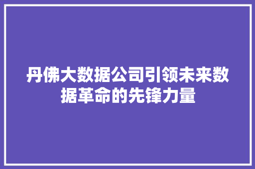 丹佛大数据公司引领未来数据革命的先锋力量