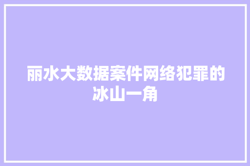 丽水大数据案件网络犯罪的冰山一角 丽水大数据案件网络犯罪的冰山一角