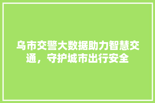 乌市交警大数据助力智慧交通，守护城市出行安全