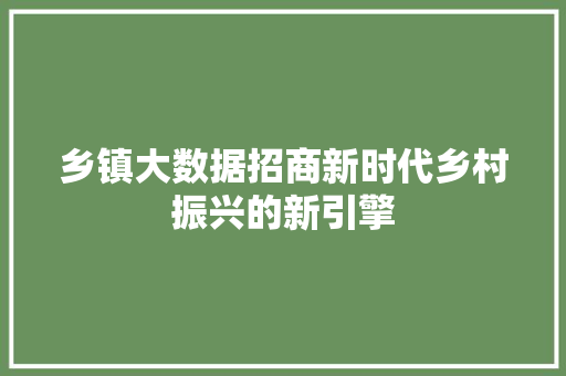 乡镇大数据招商新时代乡村振兴的新引擎