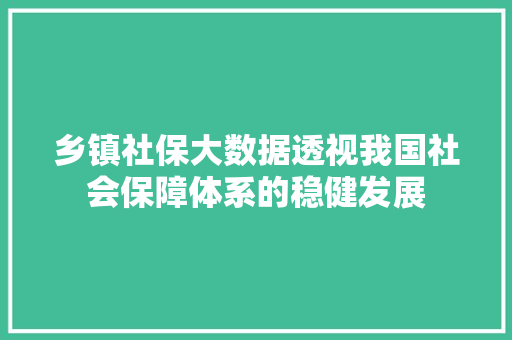 乡镇社保大数据透视我国社会保障体系的稳健发展