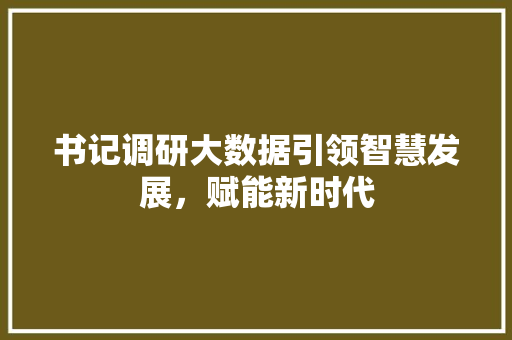 书记调研大数据引领智慧发展，赋能新时代