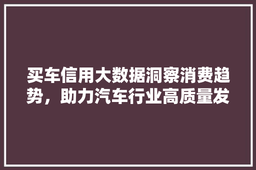 买车信用大数据洞察消费趋势，助力汽车行业高质量发展