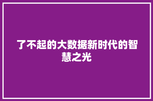 了不起的大数据新时代的智慧之光