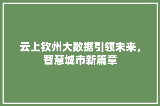 云上钦州大数据引领未来，智慧城市新篇章