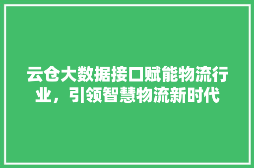 云仓大数据接口赋能物流行业，引领智慧物流新时代
