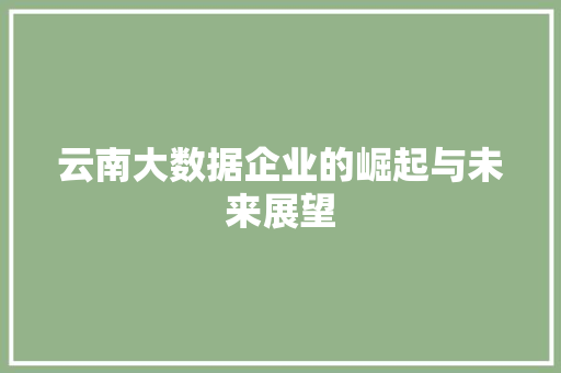 云南大数据企业的崛起与未来展望