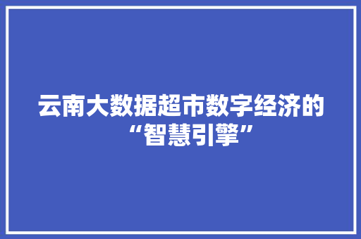云南大数据超市数字经济的“智慧引擎”