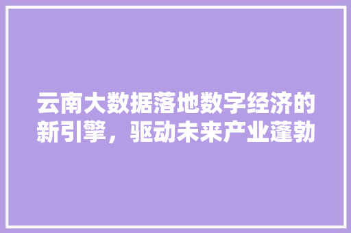 云南大数据落地数字经济的新引擎，驱动未来产业蓬勃发展