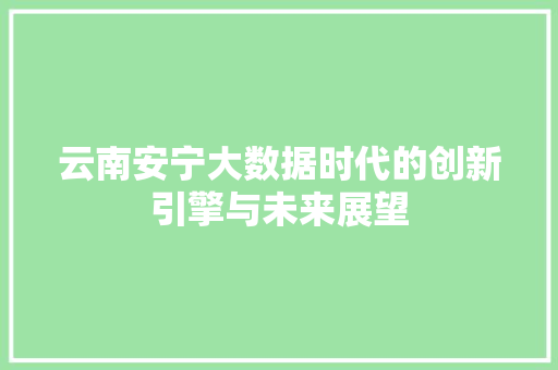 云南安宁大数据时代的创新引擎与未来展望