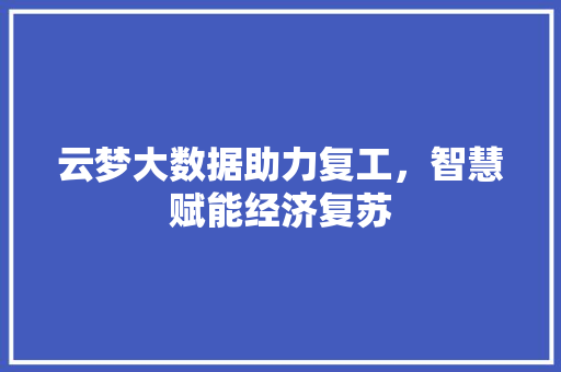 云梦大数据助力复工，智慧赋能经济复苏