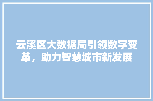 云溪区大数据局引领数字变革，助力智慧城市新发展