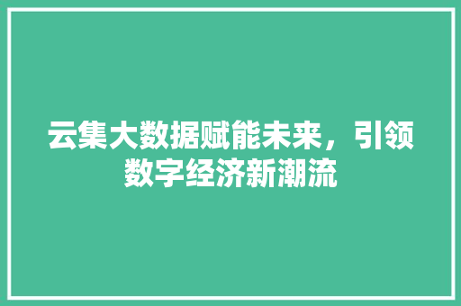 云集大数据赋能未来，引领数字经济新潮流