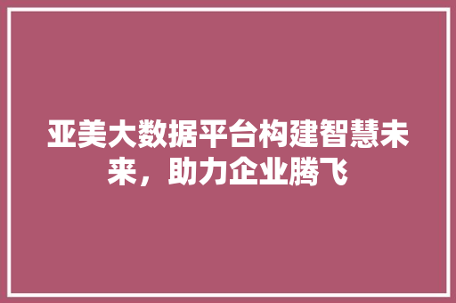 亚美大数据平台构建智慧未来，助力企业腾飞