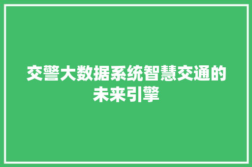 交警大数据系统智慧交通的未来引擎
