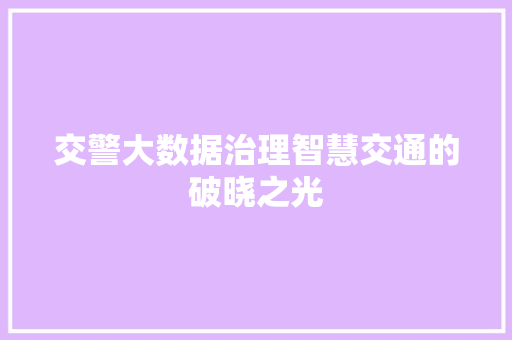 交警大数据治理智慧交通的破晓之光