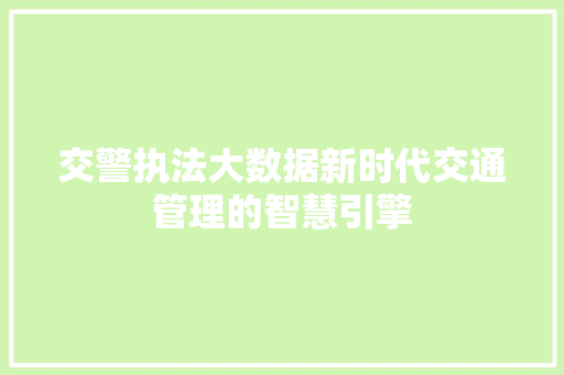 交警执法大数据新时代交通管理的智慧引擎