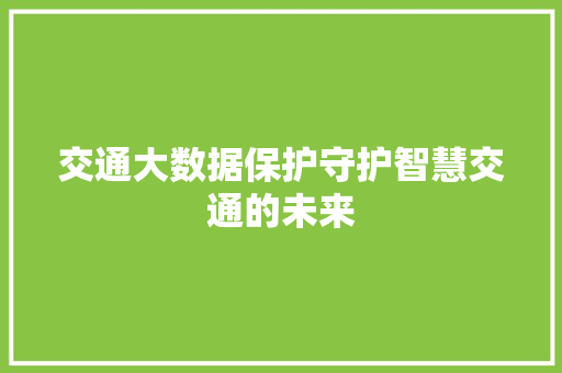交通大数据保护守护智慧交通的未来