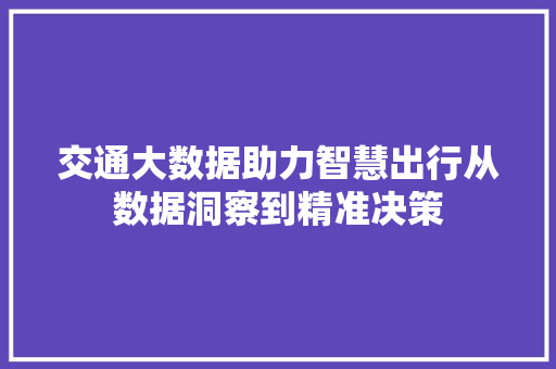 交通大数据助力智慧出行从数据洞察到精准决策
