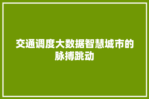 交通调度大数据智慧城市的脉搏跳动