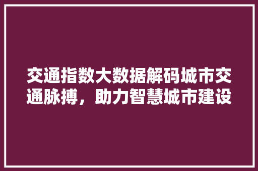 交通指数大数据解码城市交通脉搏，助力智慧城市建设