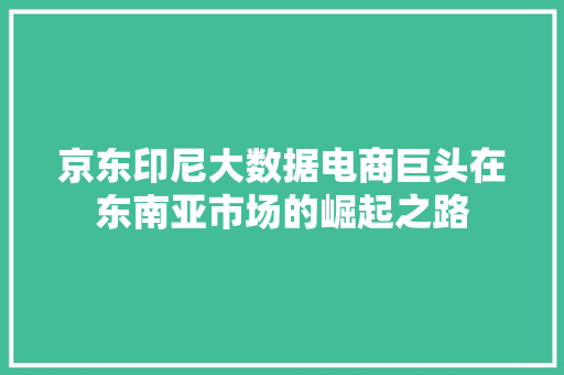 京东印尼大数据电商巨头在东南亚市场的崛起之路
