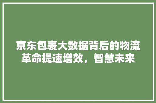 京东包裹大数据背后的物流革命提速增效，智慧未来