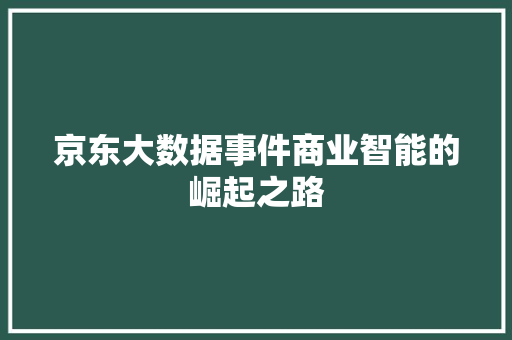 京东大数据事件商业智能的崛起之路